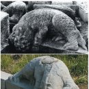 천록(아) 이미지