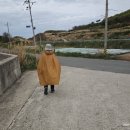 야월배수장 네이버블로그