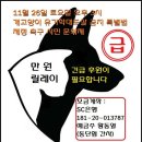 D-15, 11월 26일 동물보호법 통과 개고양이학대도살금지 시민문화제 후원금 현황 이미지