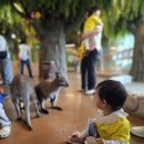 베비텔어린이집 | [망우동 어린이집] 베비텔어린이집 5월 가족 봄소풍 '하남 주렁주렁'