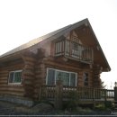 아르고통나무펜션 이미지