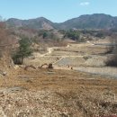 안성면010 이미지