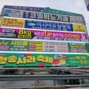 동변교 우측 이미지