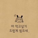 금수저은수저 이미지