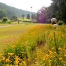 골드훼미리콘도미니엄 이미지