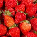 딸기공인중개사사무소 이미지