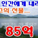 양평노른자부동산공인중개사사무소 이미지