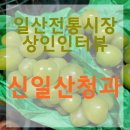 신일산청과