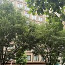 케이크인더가든(CAKE IN THE GARDEN) | 힐튼 가든 인 교토 시조 가라스마 수페리어룸 후기 : 교토 깔끔한 가성비 호텔 3박 4일 후기 가격