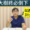 2026.07.26∣活潑的生命∣以西結書31:1-18節 이미지