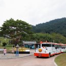 미디어고창 네이버블로그