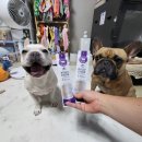 하이비오 이미지