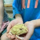 센트럴 곤충생태농장 이미지