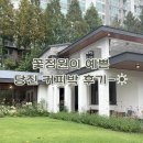 당진시 교동길 | [당진 커피박] 꽃정원이 아름다운 당진 감성카페 추천 ! | 당진 여행코스