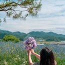 중앙로+진각로 이미지