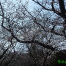 부곡농산