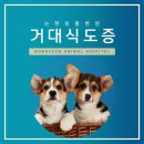 신반포동물병원 이미지