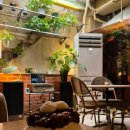 퍼피로비 | [연희동] 연희동 감각적이고 아늑한 수제 국산팥 팥빙수 카페 추천 "금옥당" 내돈내산 솔직후기