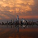 미로월드 이미지