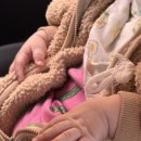 박서농장 이미지