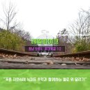 옥마벚길 이미지