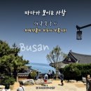 용궁사 주차장 | [부산] 해동용궁사 애견동반 후기 (주차, 애견동반팁, 볼거리)