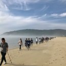 노르딕워킹 이미지