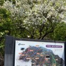 서울용곡초등학교 | 서울 등산 :: 아차산 - 용마산 등산코스 후기