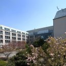 카이스트 이미지