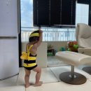 제주 롯데호텔 수영장 카바나에서 텅장되고 온 후기 / 그래도 추천해요!