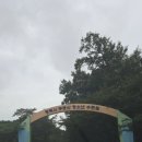(재)평택시무봉산청소년수련원수영장 | 2024년 평택 무봉산 청소년수련원 숲속수영장오픈 물놀이터 취사불가 입장료 주차 이용후기 꿀팁