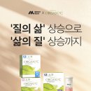 지노몰 이미지