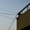 개진주유소 이미지