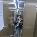 성수만세주유소 이미지
