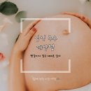 임신 주수 계산법 : 헷갈리지 말고 제대로 알자!