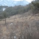 팔괴로2 이미지