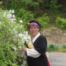 춘포초등학교 이미지