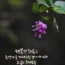수유리 계곡키페 음악회(시심쌤 다녀오셨어요) 이미지