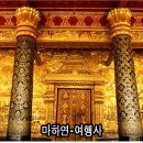 마이빅트리 이미지