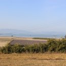 바바공인중개사사무소 이미지