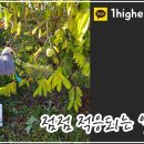 돈구농장 이미지