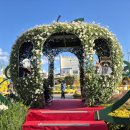 사과향기 | 가을 향기 가득했던 예산사과축제 예산삼국축제 방문 후기