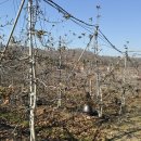 현도농장 이미지