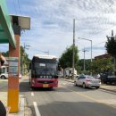 GS25강릉터미널점 이미지