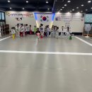 용인대 나라찬 태권도 네이버블로그