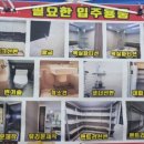 대광자수