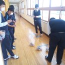 치평중학교 이미지