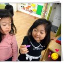 다모이세 이미지