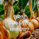 다마내기 당구장 이미지