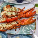 제일수산물센타 이미지